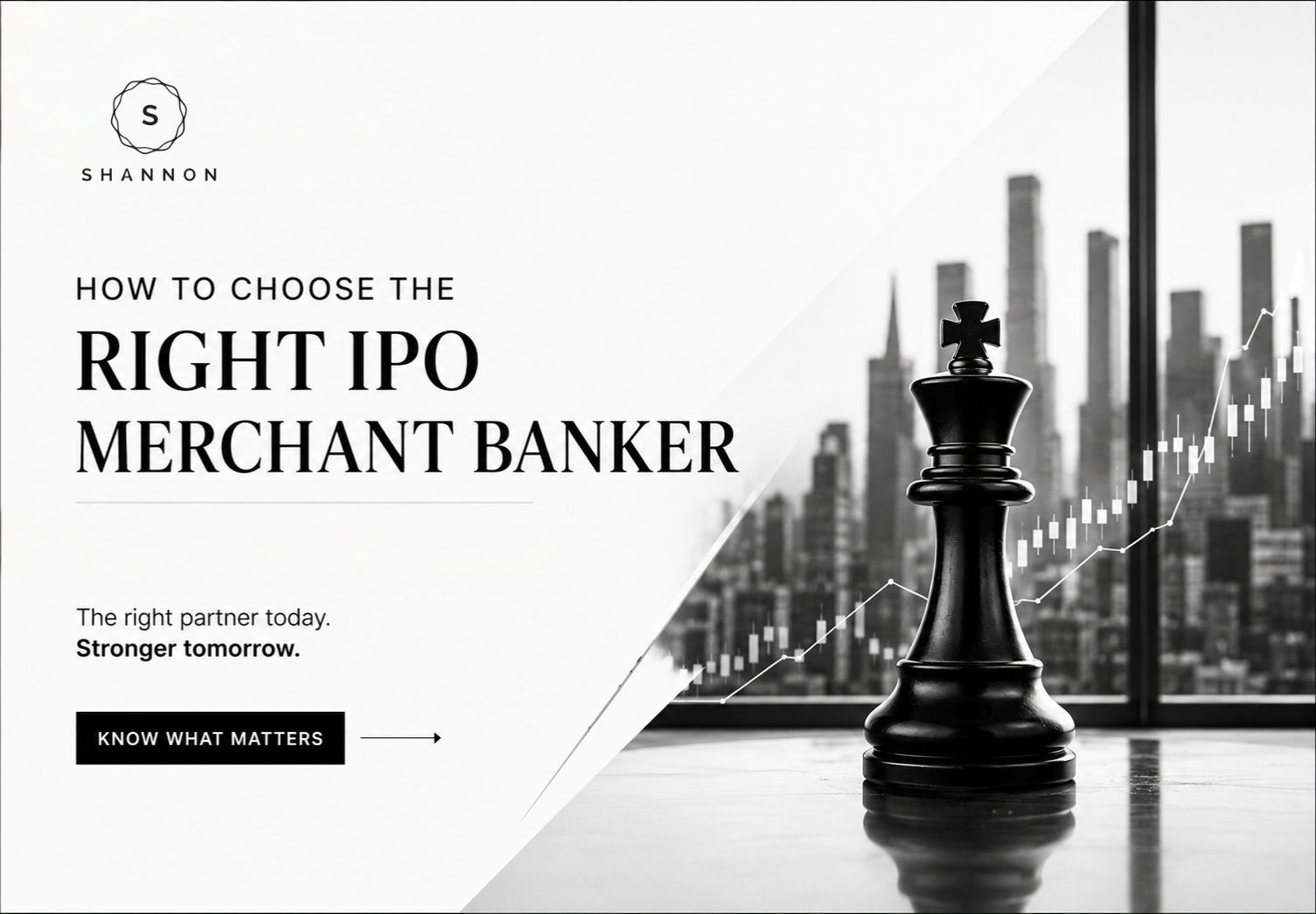 IPO Merchant Banker